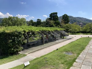 ミストシャワー