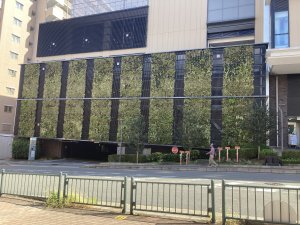 壁面緑化